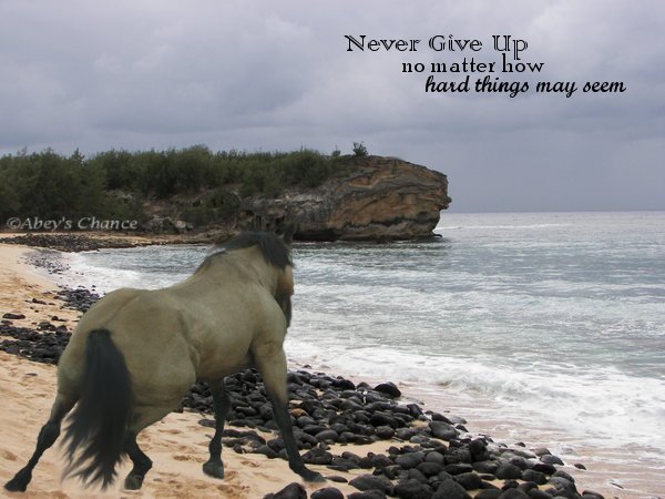 Never Give Up