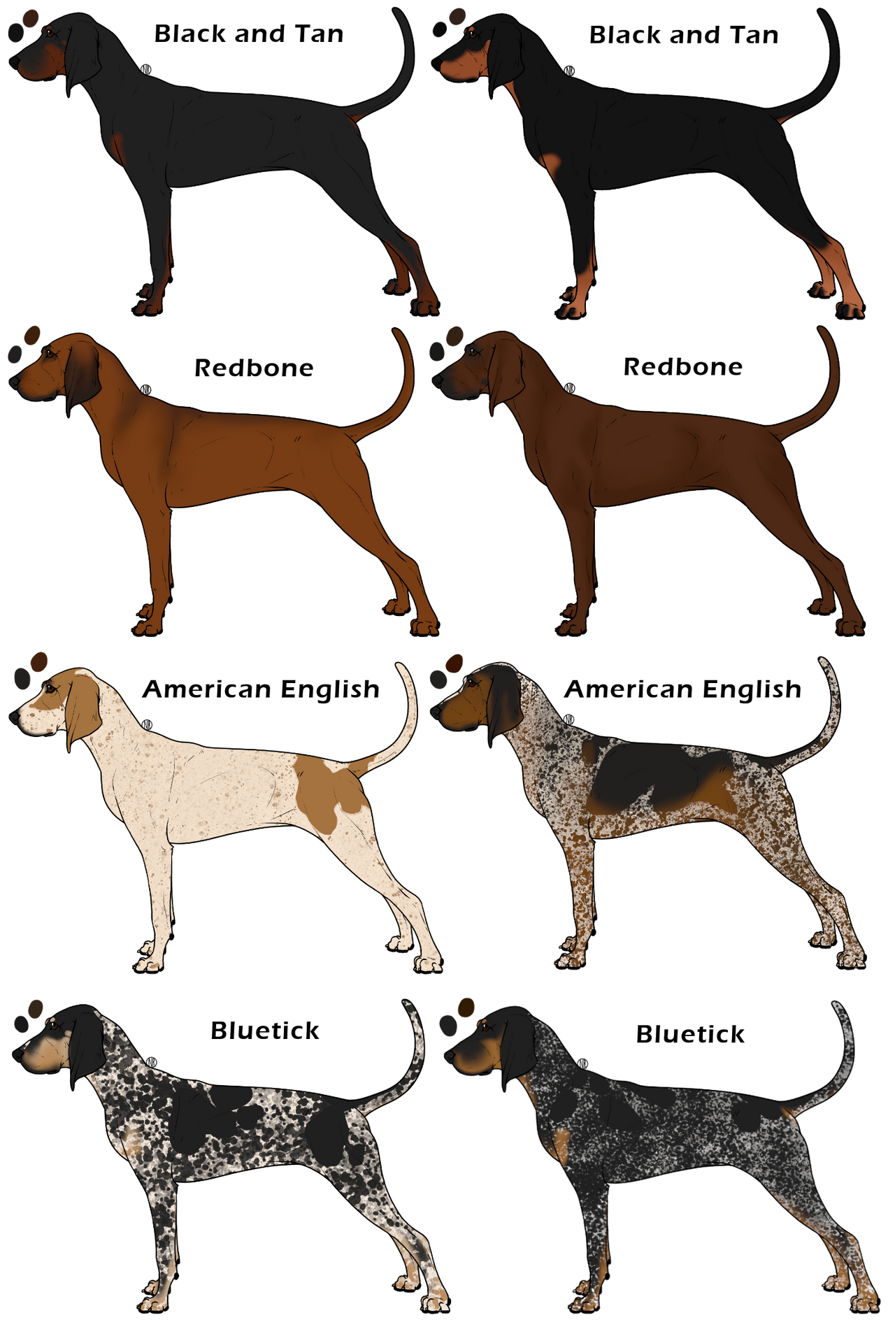 Coonhound types deals