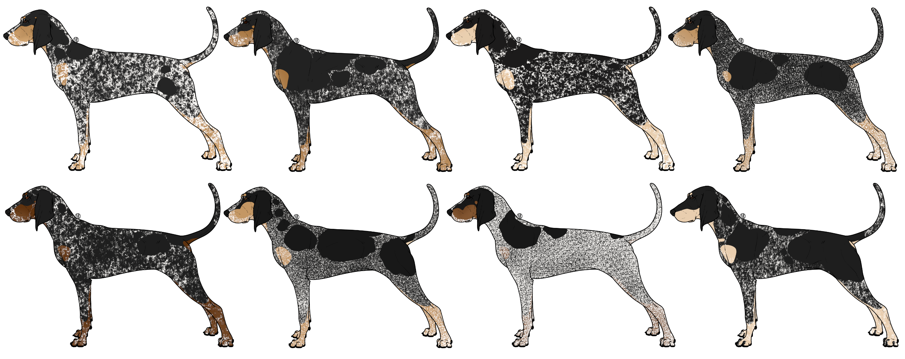 Coonhounds 2024 for sale