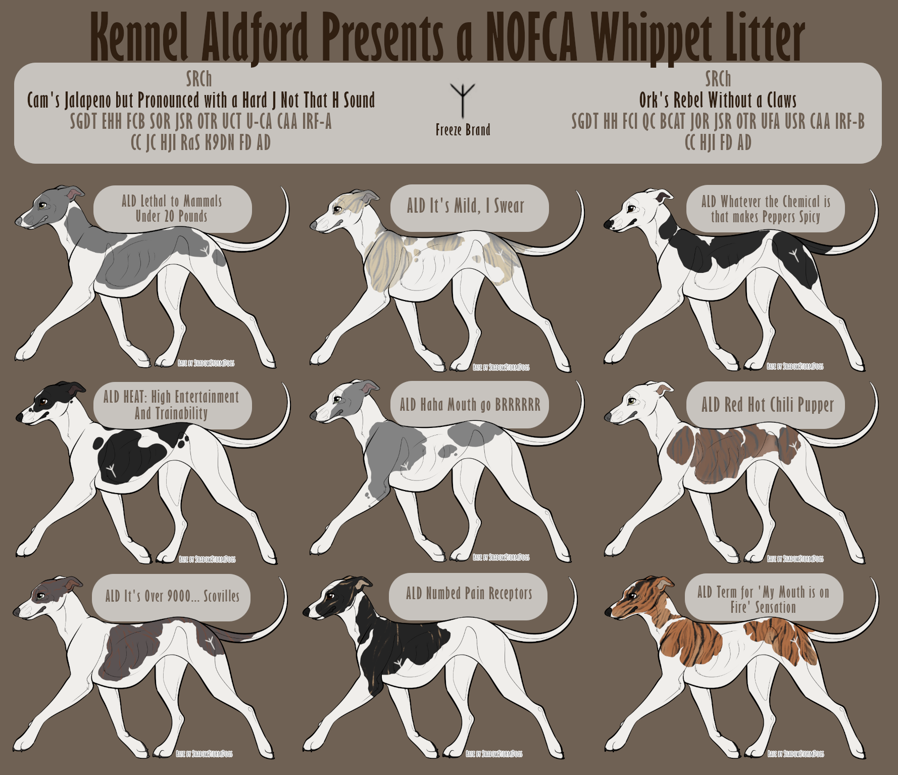 Whippet kennel sales