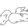 baby bunny lines