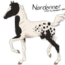 Foal:  ID: 3702