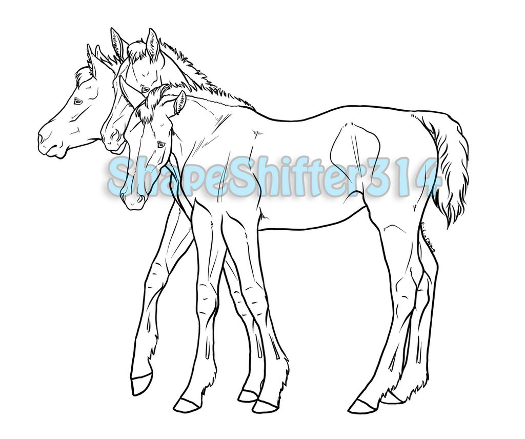Hydra Foal lines - Commission