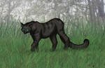 Dark Cat by suited-wolf