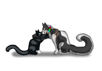 Scourge And Bone Kiss