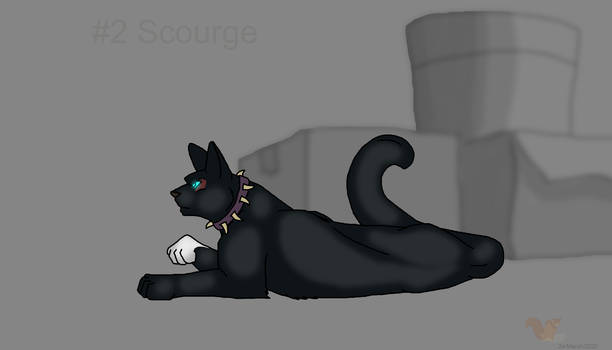 100 cats #2 Scourge