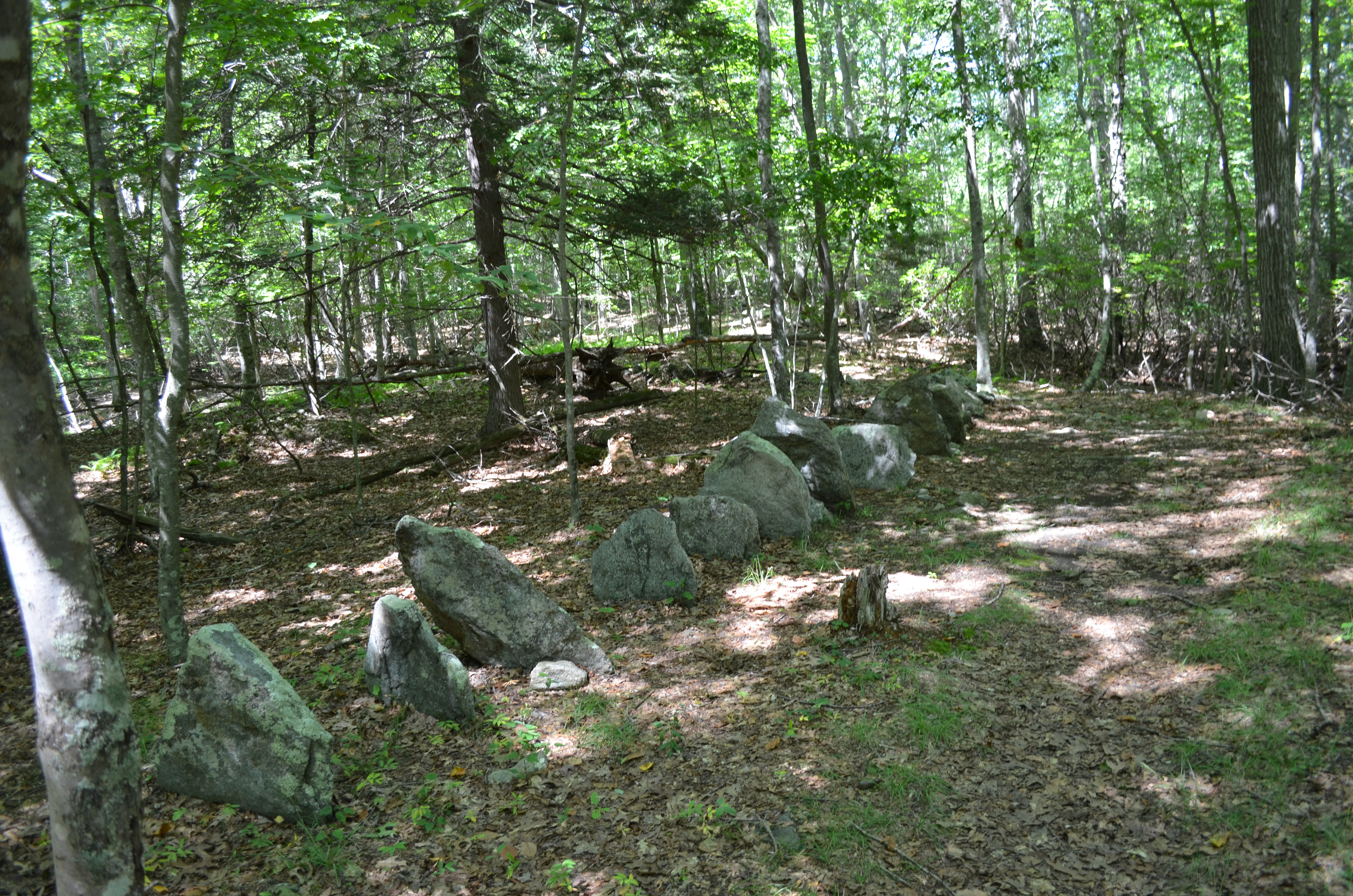 Standing Stones, Gungywamp