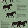 How to shade horses in SAI