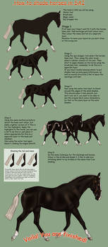 How to shade horses in SAI