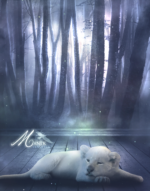 Manek 44 Manek by Graivey on DeviantArt