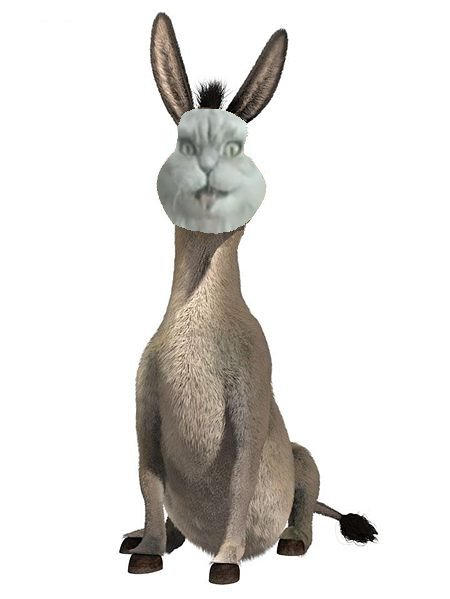 Donkey Rimi Rabbit Donkey (Ronkey) by WOWKHRiku on DeviantArt