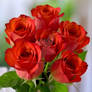 Bouquet of roses for Valentine's Day celebration
