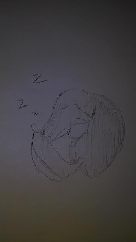 Day 5 - zZz