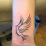 Dove on Wrist