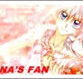 Arina's Fan