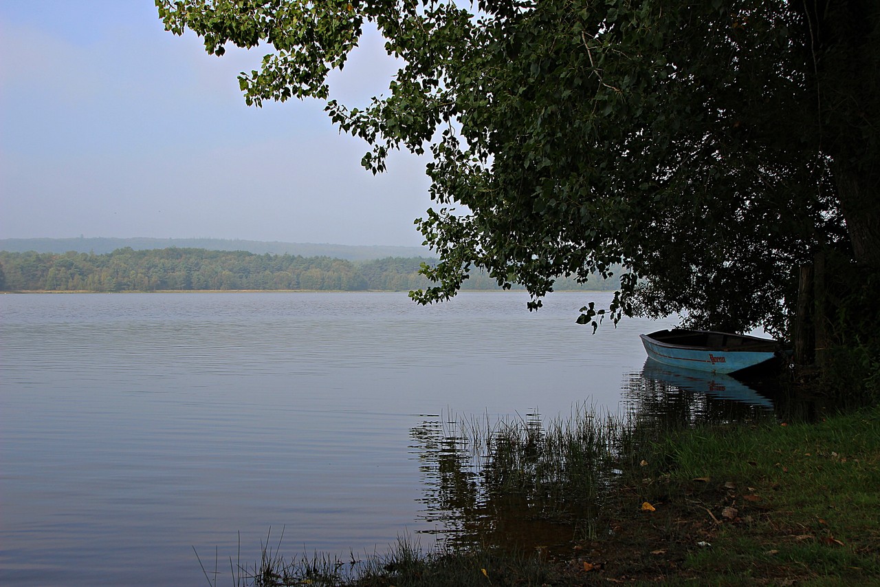 Pond of Paimpont