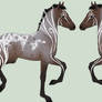 Foal 2580 Design Holder