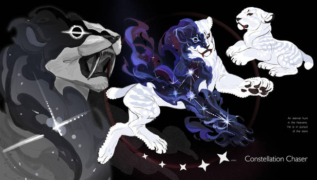 Chaser adopt / Reserved
