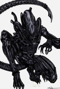 Xenomorph Coloured