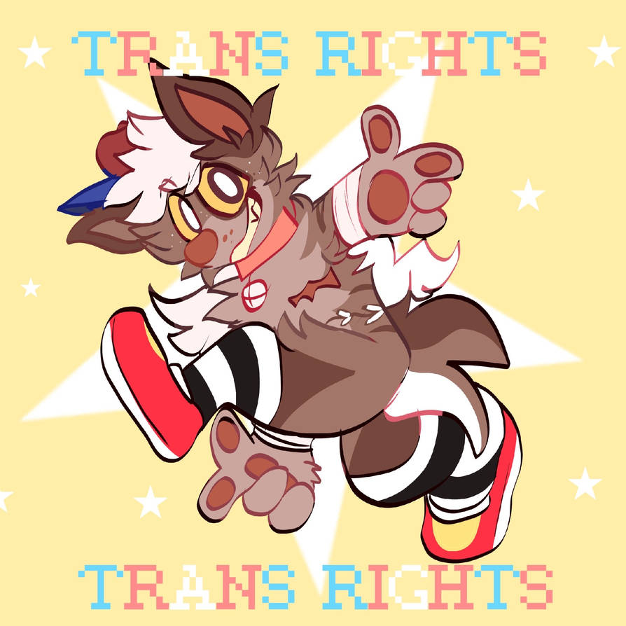 Trans Rights! by muttvore on DeviantArt