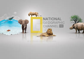 NATIONAL GEOGRAPHY HD