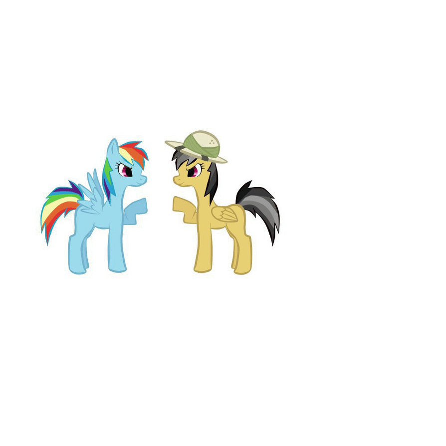 Brohoof Mlp: FiM Rainbow Dash and Daring Do - Brohoof Gif by calabogie2007 on ...