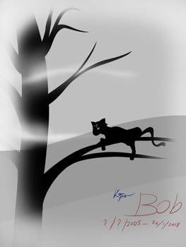 To my cat Bob