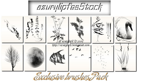 Exclusive brushes pack