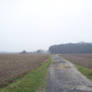2010- road and field in mist2