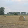 2010-hay rolls in field