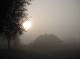 misty morning 4