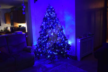 Photo of my Christmas tree
