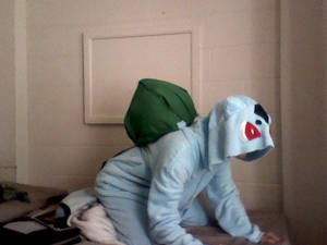 Bulbasaur Costume