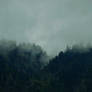 Fog over the Cascades