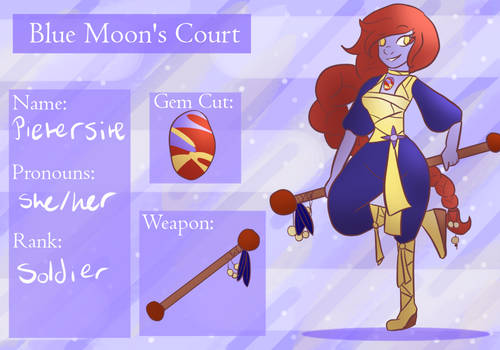 Blue Moon's Court Application (Pietersite)