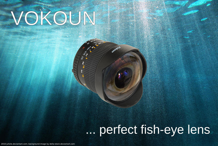 Vokoun fish-eye by juhele
