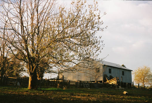 The Shearing Shed