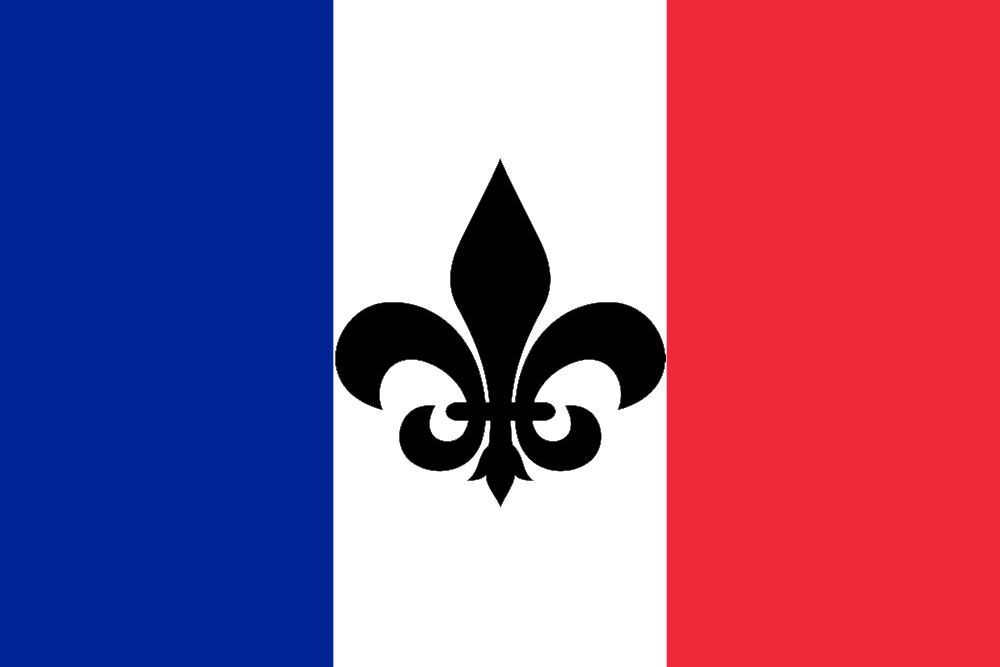 Flag of France with Fleur-de-lys