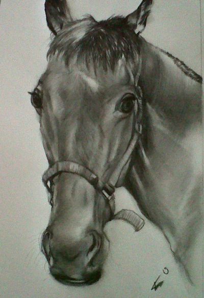 Milly the horse - traditional art.