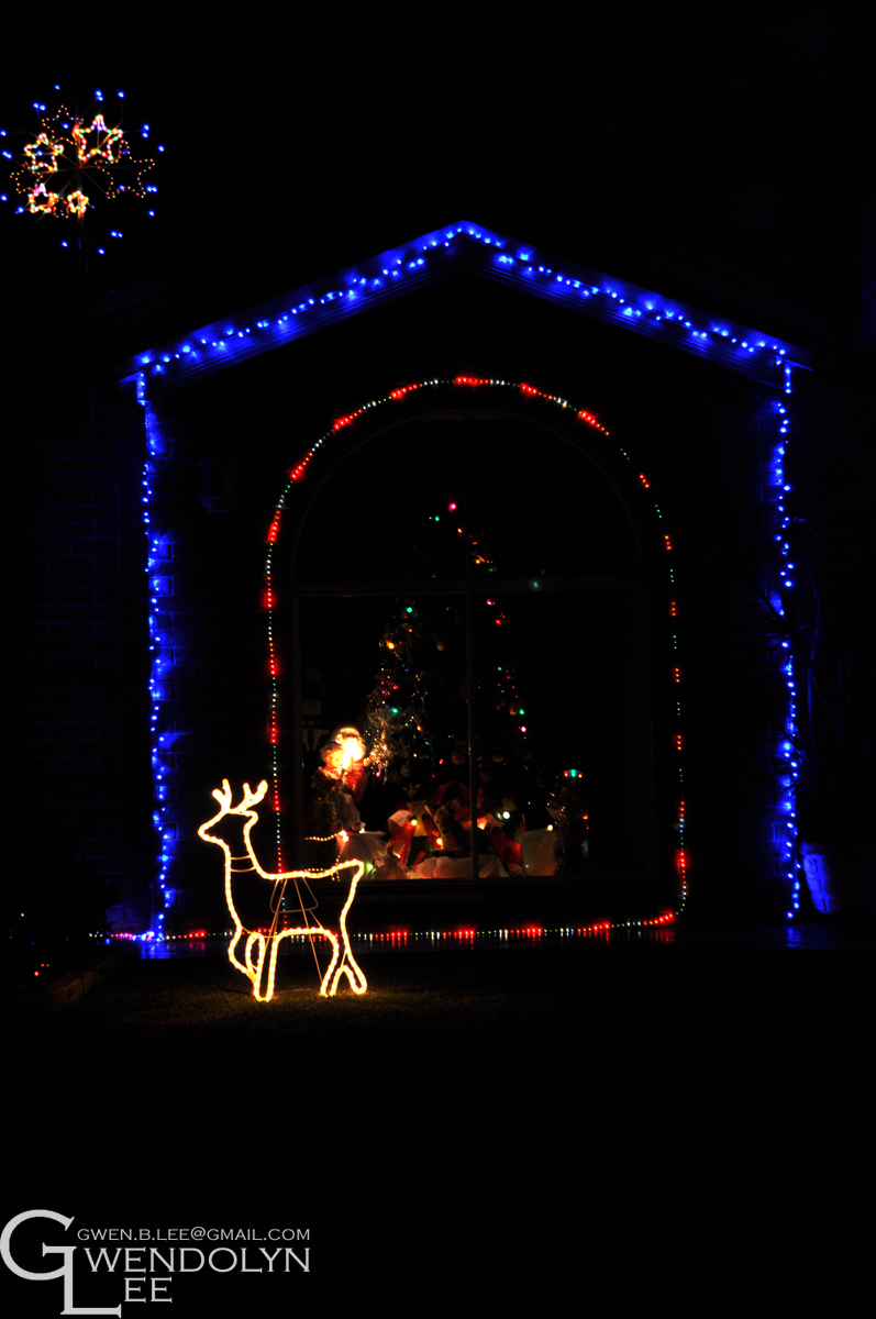 Christmas Lights 29