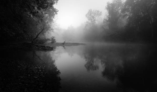 Foggy Serenity