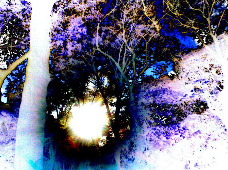 Inverted Sun Rays inverted sun by Aggressiveworks on DeviantArt