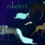 Arkien's Enkoro | Breed Sheet