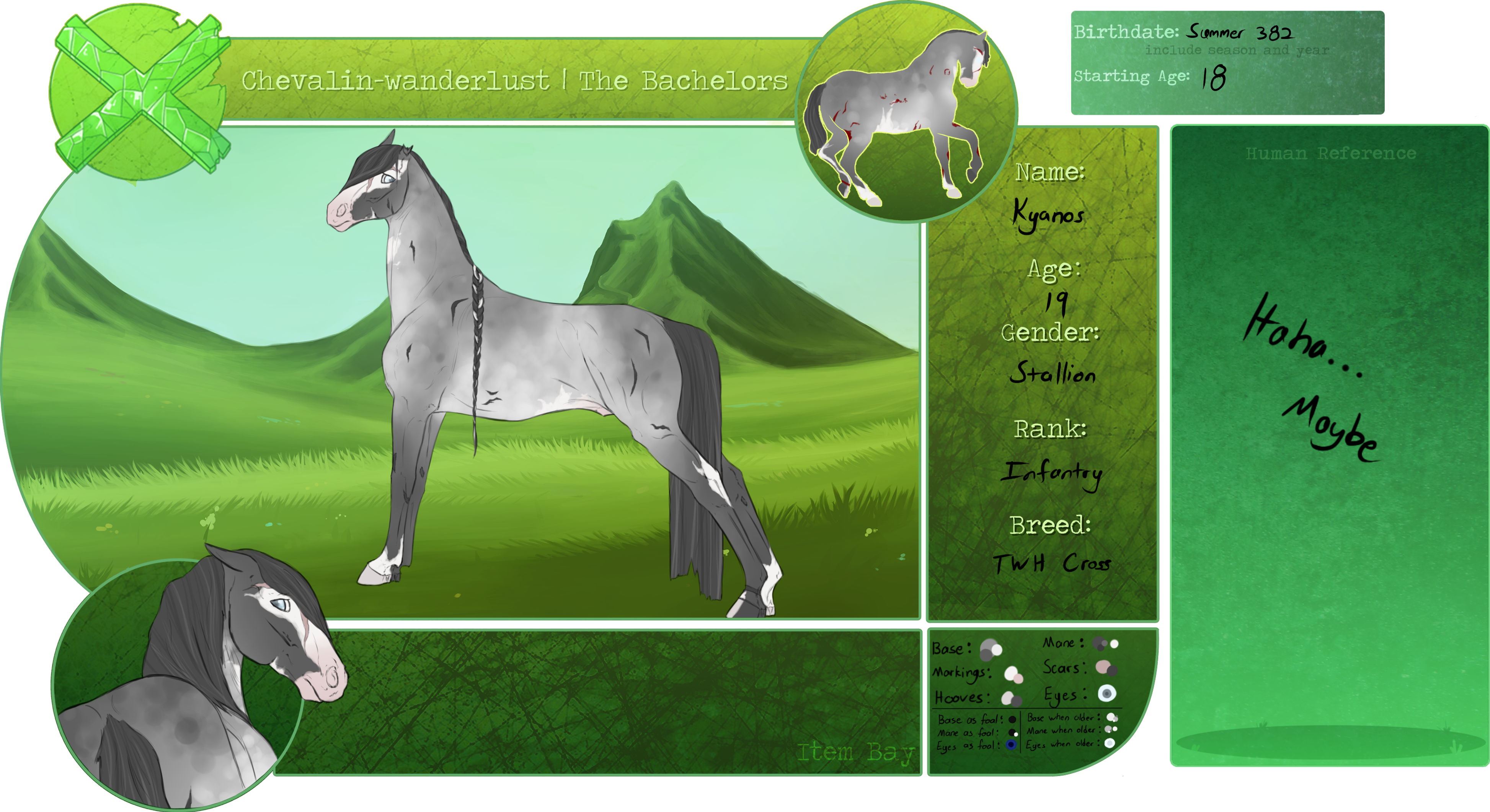 CW | Kyanos | Bachelor Herd | Stallion