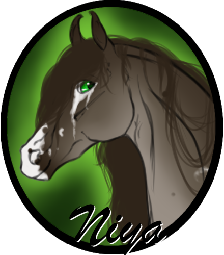 CW | Niya | Forum Avatar