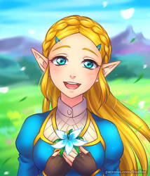 Zelda BotW