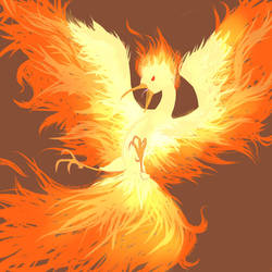 Moltres like hella