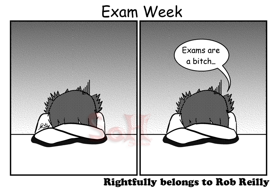 Exam Week by Son23