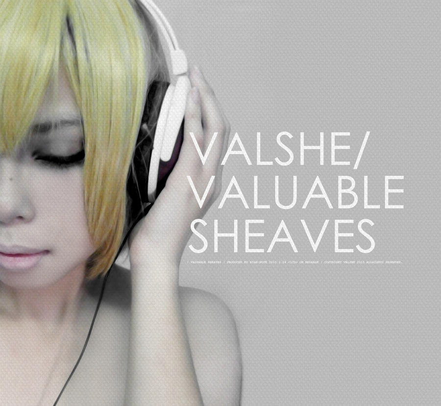 Valuable Sheaves 03