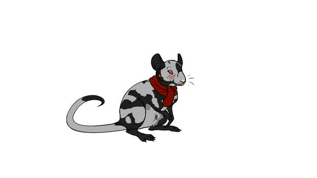 rat I created